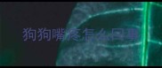 狗狗嘴疼怎么回事