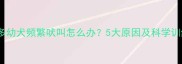 拉布拉多幼犬频繁吠叫怎么办5大原因及科学训练指南