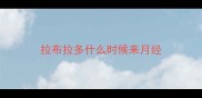 拉布拉多什么时候来月经