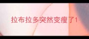拉布拉多突然变瘦了