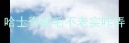 哈士奇剃毛不老实咋弄