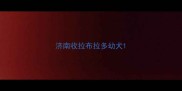 济南收拉布拉多幼犬