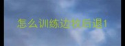怎么训练边牧后退