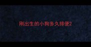 刚出生的小狗多久排便