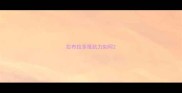 拉布拉多抵抗力如何