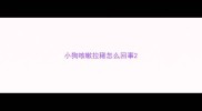 小狗咳嗽拉稀怎么回事