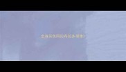 全身灰色同拉布拉多很像