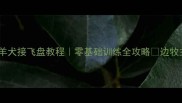 边境牧羊犬接飞盘教程零基础训练全攻略边牧主必看