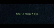 狗狗几个月可以去洗澡