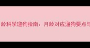 小灵犬2-6月龄科学遛狗指南月龄对应遛狗要点与注意事项全