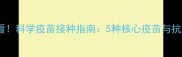 泰迪犬必看科学疫苗接种指南5种核心疫苗与抗体保护全