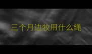 三个月边牧用什么绳