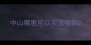 中山哪里可以买宠物狗