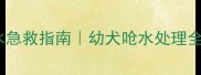 小狗呛水急救指南幼犬呛水处理全攻略