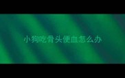 小狗吃骨头便血怎么办