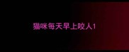 猫咪每天早上咬人