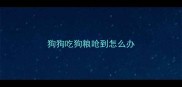 狗狗吃狗粮呛到怎么办