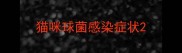 猫咪球菌感染症状
