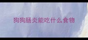狗狗肠炎能吃什么食物