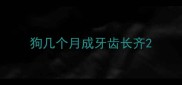 狗几个月成牙齿长齐