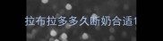 拉布拉多多久断奶合适
