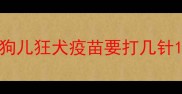 狗儿狂犬疫苗要打几针