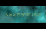 天津河东宠物出售店