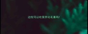 边牧可以吃营养化毛膏吗