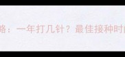 泰迪犬疫苗全攻略一年打几针最佳接种时间表与注意事项