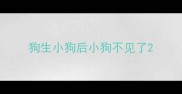 狗生小狗后小狗不见了