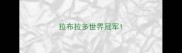拉布拉多世界冠军