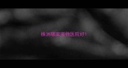 株洲哪家宠物医院好