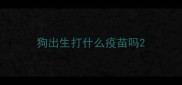 狗出生打什么疫苗吗