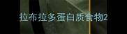 拉布拉多蛋白质食物