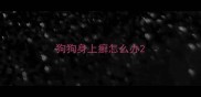 狗狗身上癣怎么办