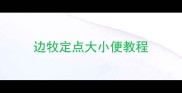 边牧定点大小便教程
