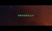 狗狗鸡流脓怎么办