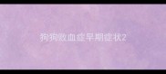 狗狗败血症早期症状