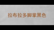 拉布拉多脚掌黑色