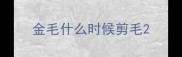 金毛什么时候剪毛