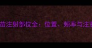 狗狗疫苗注射部位全位置频率与注意事项