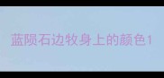 蓝陨石边牧身上的颜色