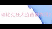 瑞比克狂犬疫苗副作用