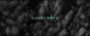 马犬和哈士奇哪个好