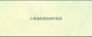 小泰迪先驱虫和打疫苗