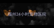 福州24小时宠物医院
