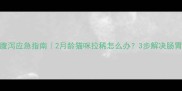 幼猫腹泻应急指南2月龄猫咪拉稀怎么办3步解决肠胃问题