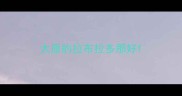 太原的拉布拉多那好