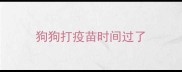 狗狗打疫苗时间过了