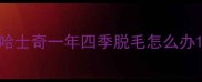 哈士奇一年四季脱毛怎么办